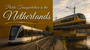 Modern public transportation in the Netherlands features sleek trains and efficient transit systems across cities.